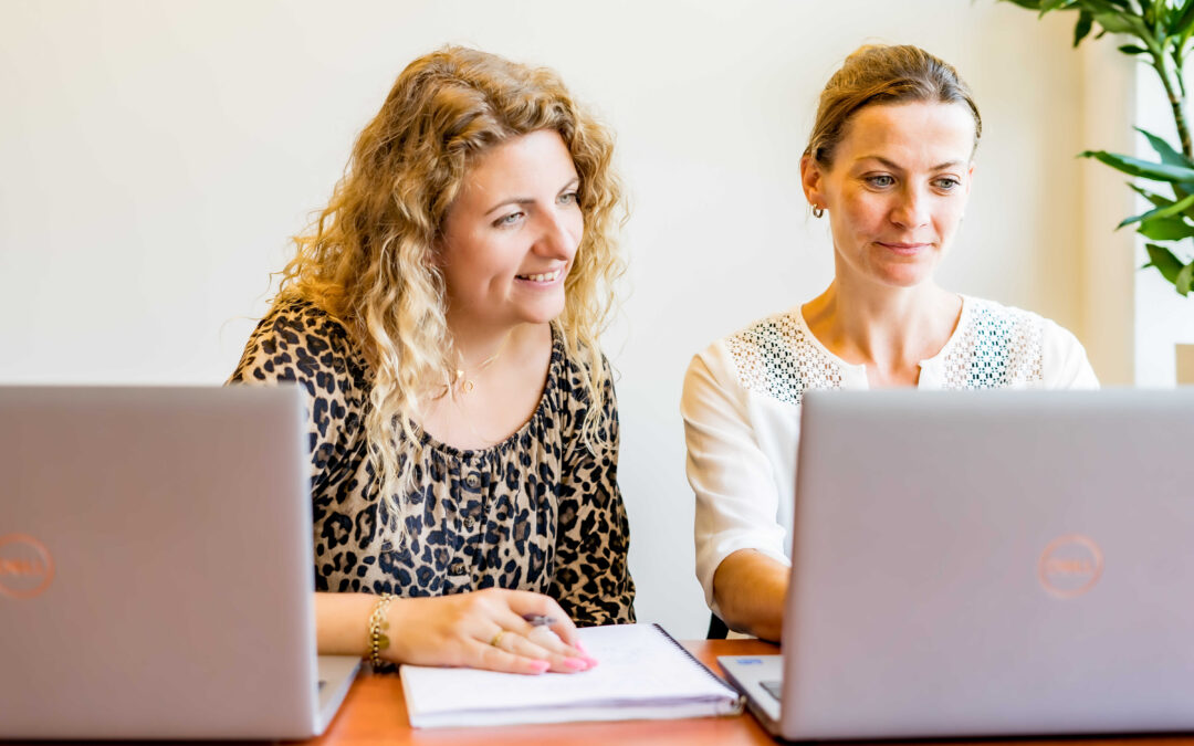 Sales Consultant België/ Frankrijk