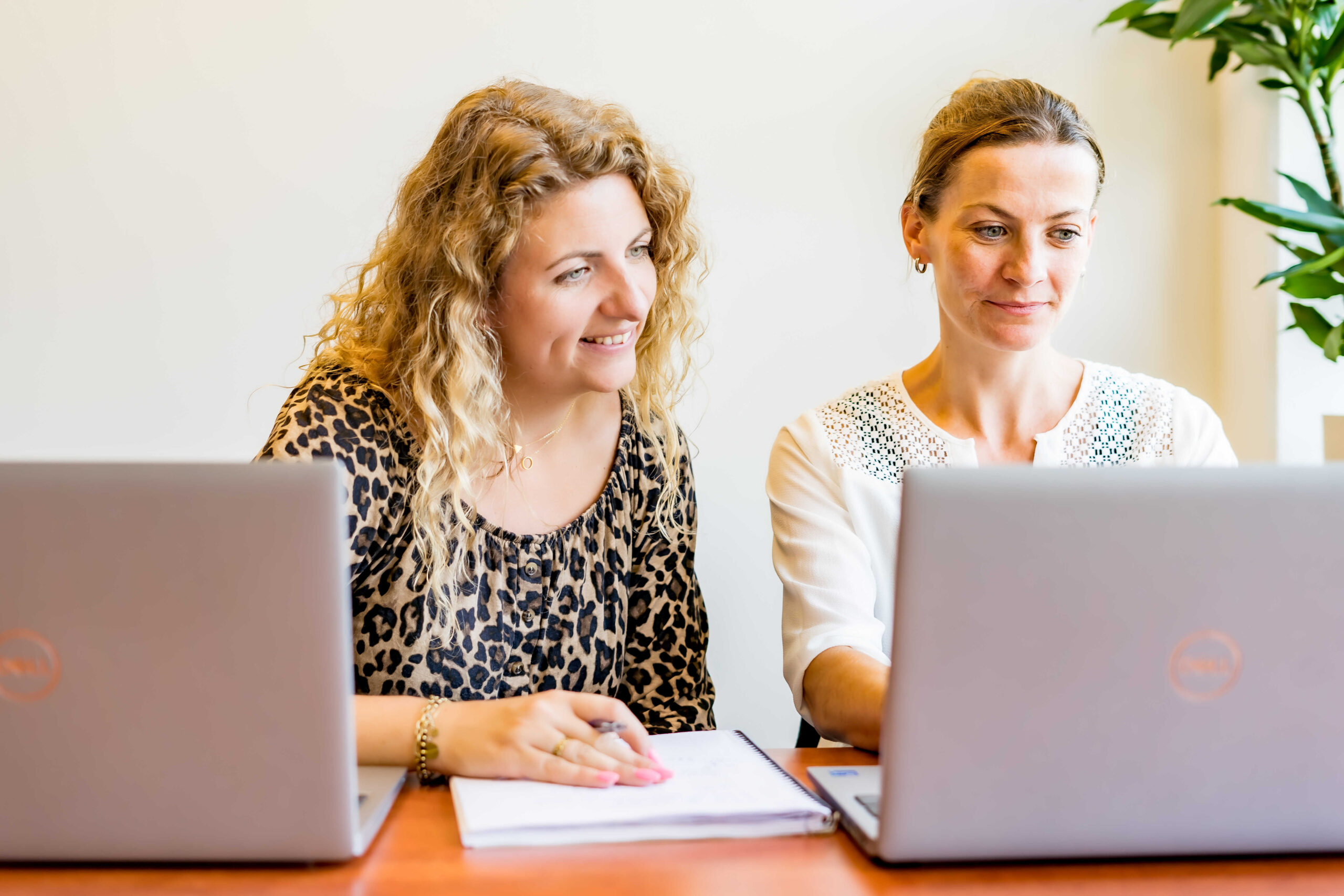 Sales Consultant België/ Frankrijk